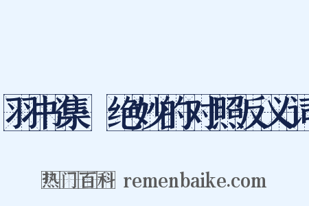 羽书集·绝妙的对照反义词是什么意思的图片